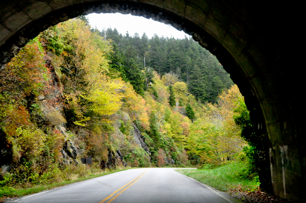 fall colors on The Blue Ridge Parkway